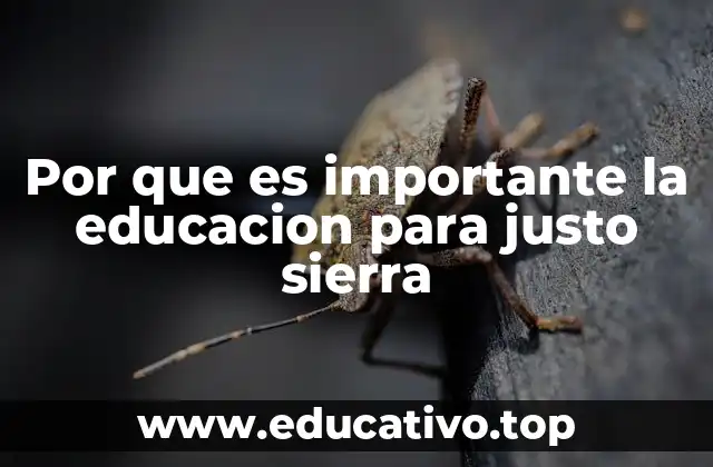 Por que es importante la educacion para justo sierra