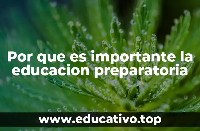 Por que es importante la educacion preparatoria