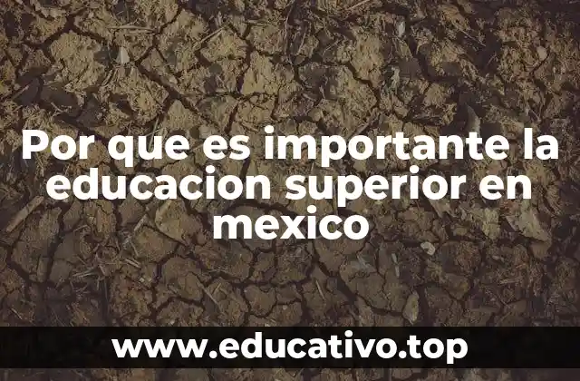 Por que es importante la educacion superior en mexico