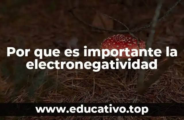 Por que es importante la electronegatividad
