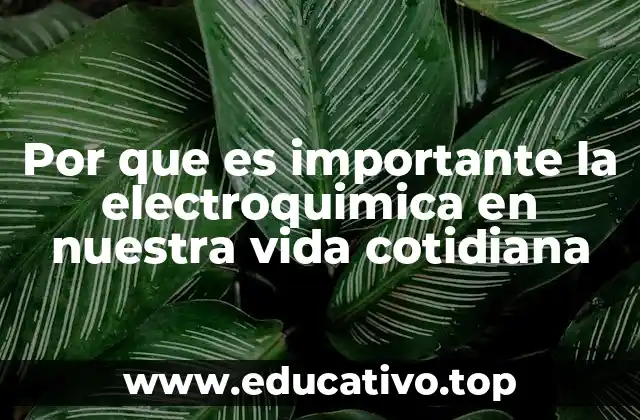 Por que es importante la electroquimica en nuestra vida cotidiana