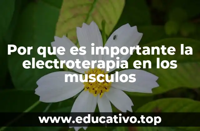 Por que es importante la electroterapia en los musculos