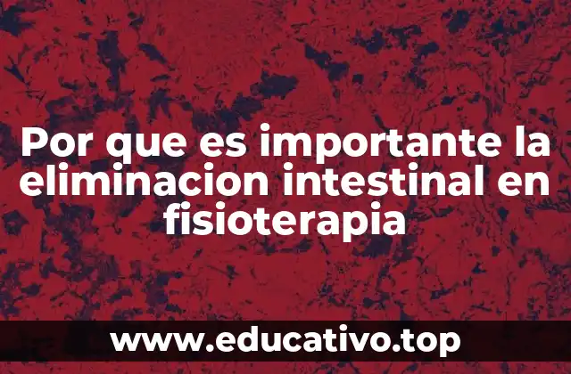 Por que es importante la eliminacion intestinal en fisioterapia