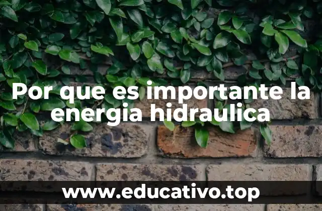 Por que es importante la energia hidraulica