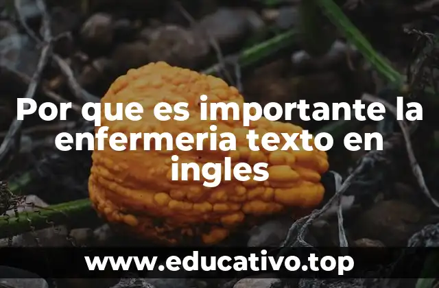 Por que es importante la enfermeria texto en ingles