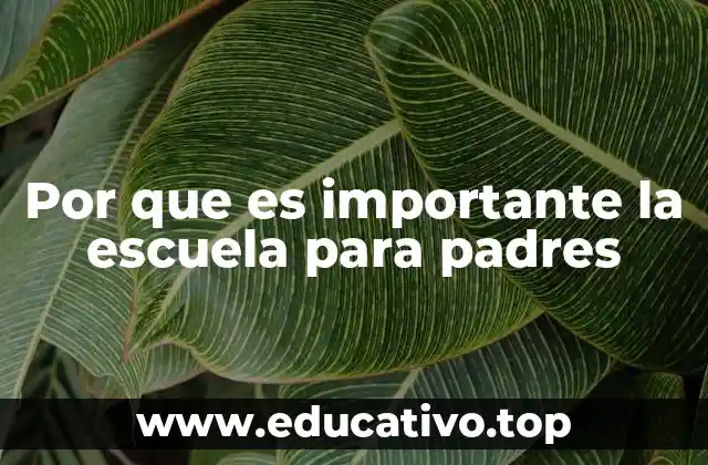 Por que es importante la escuela para padres