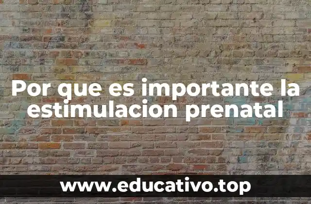 Por que es importante la estimulacion prenatal