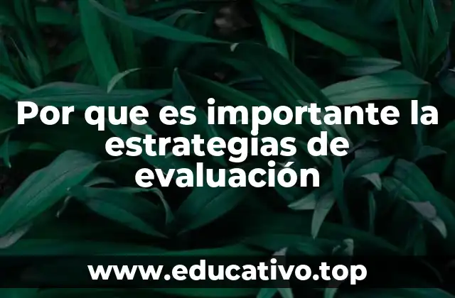Por que es importante la estrategias de evaluación