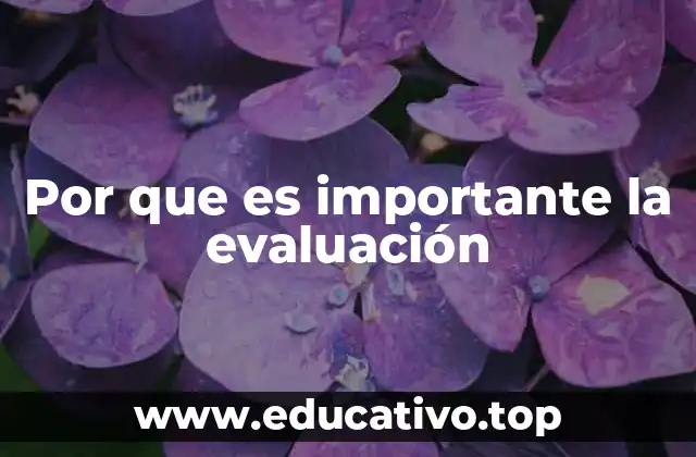 Por que es importante la evaluación