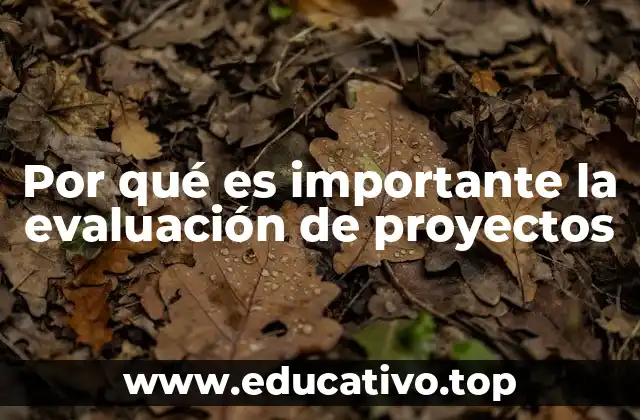 Por qué es importante la evaluación de proyectos