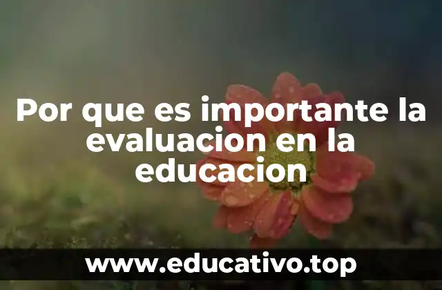 Por que es importante la evaluacion en la educacion