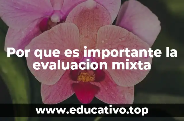 Por que es importante la evaluacion mixta