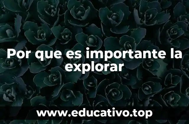 Por que es importante la explorar