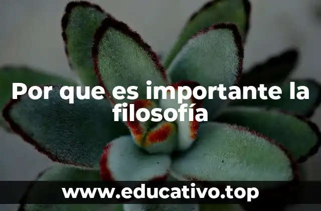 Por que es importante la filosofía