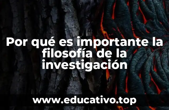 Fundamentos conceptuales detrás del proceso investigativo