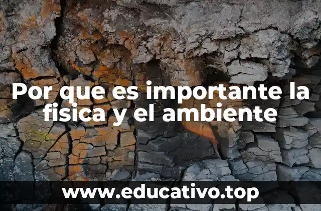 Por que es importante la fisica y el ambiente