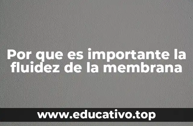 Por que es importante la fluidez de la membrana