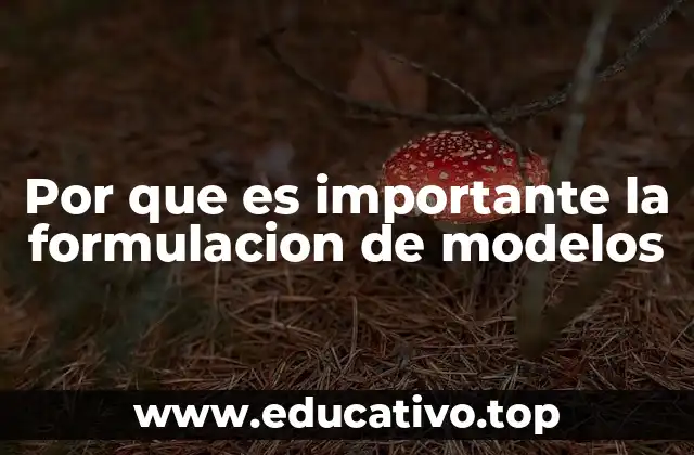 Por que es importante la formulacion de modelos
