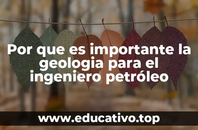 Por que es importante la geologia para el ingeniero petróleo