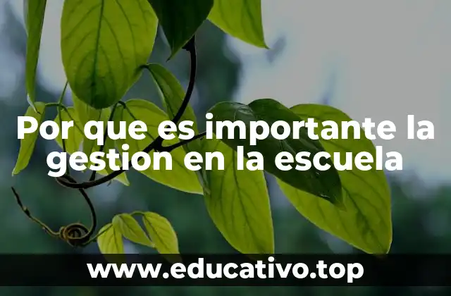 Por que es importante la gestion en la escuela