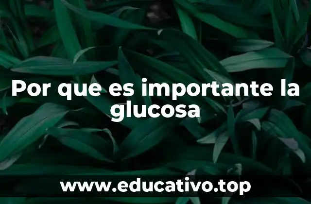 Por que es importante la glucosa