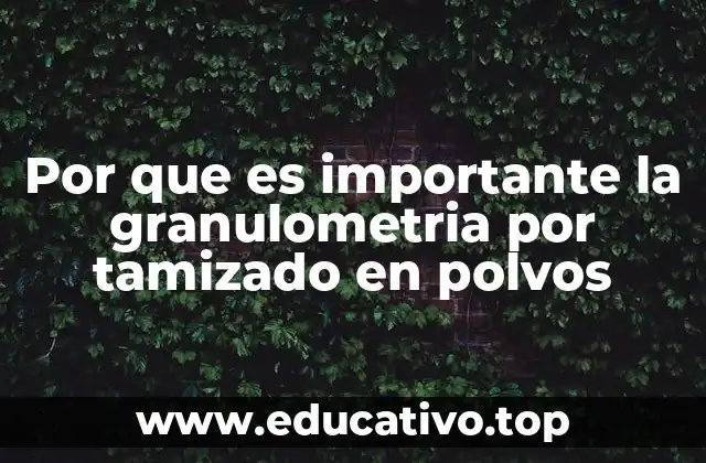 Por que es importante la granulometria por tamizado en polvos