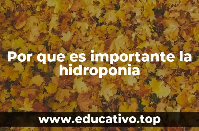 Por que es importante la hidroponia
