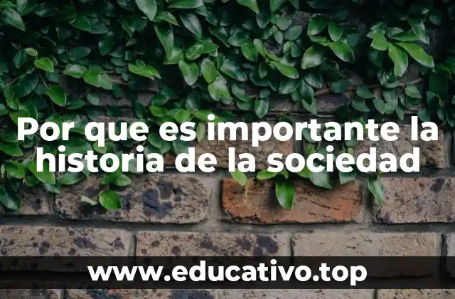 Por que es importante la historia de la sociedad