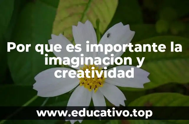 Por que es importante la imaginacion y creatividad