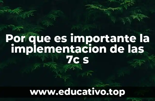 Por que es importante la implementacion de las 7c s