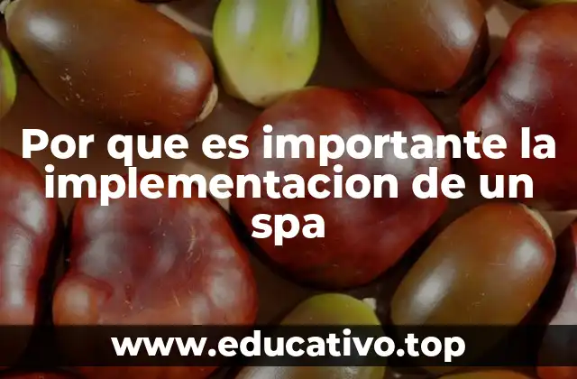 Por que es importante la implementacion de un spa