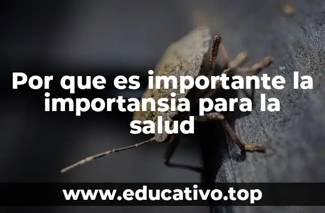 Por que es importante la importansia para la salud