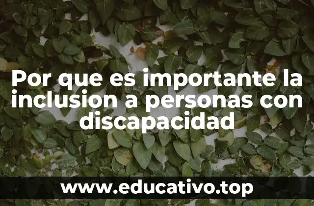 Por que es importante la inclusion a personas con discapacidad