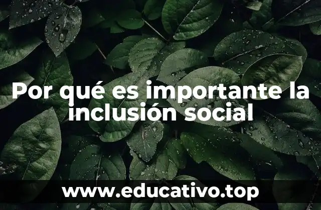 Por qué es importante la inclusión social