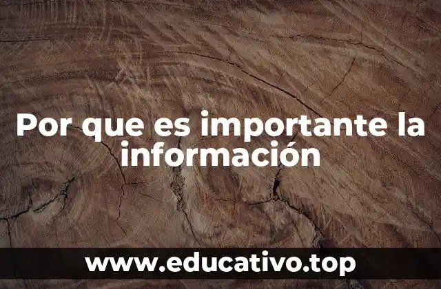 Por que es importante la información