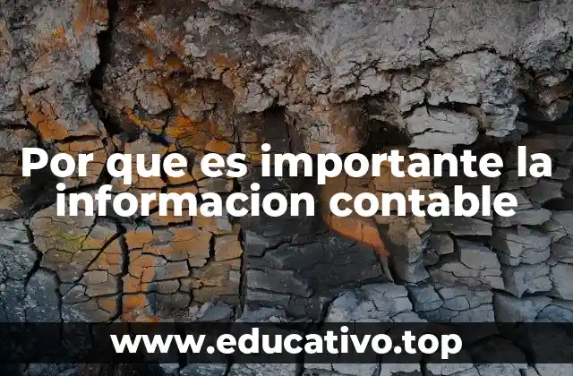 Por que es importante la informacion contable