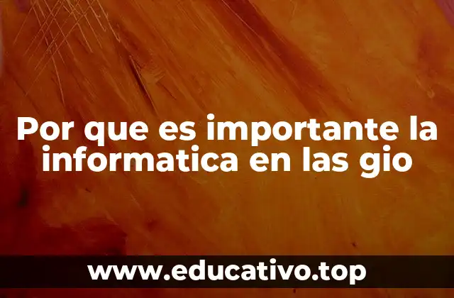 Por que es importante la informatica en las gio
