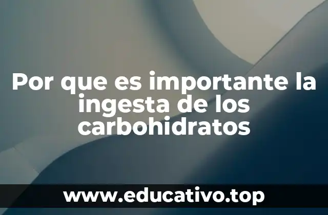 Por que es importante la ingesta de los carbohidratos