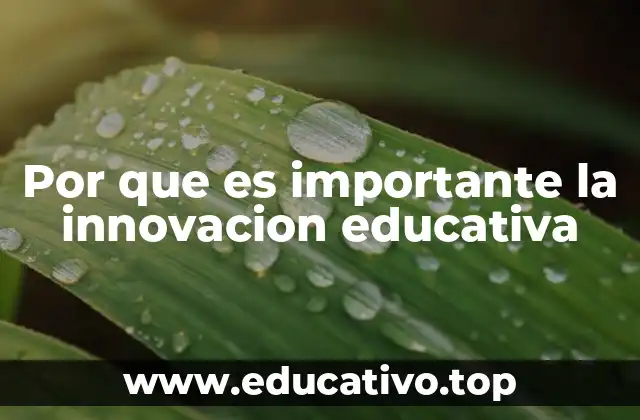 Por que es importante la innovacion educativa