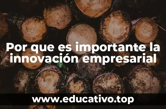 Por que es importante la innovación empresarial