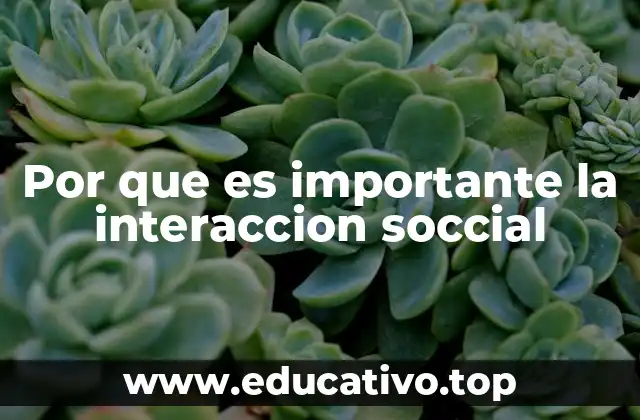 Por que es importante la interaccion soccial