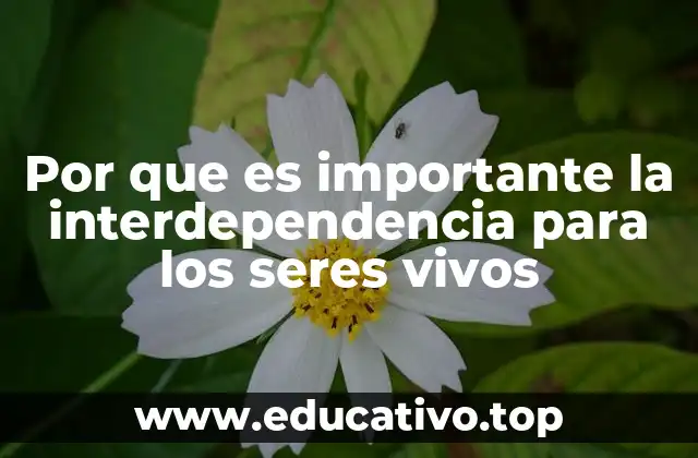 Por que es importante la interdependencia para los seres vivos