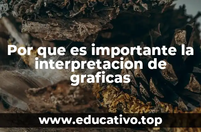 Por que es importante la interpretacion de graficas