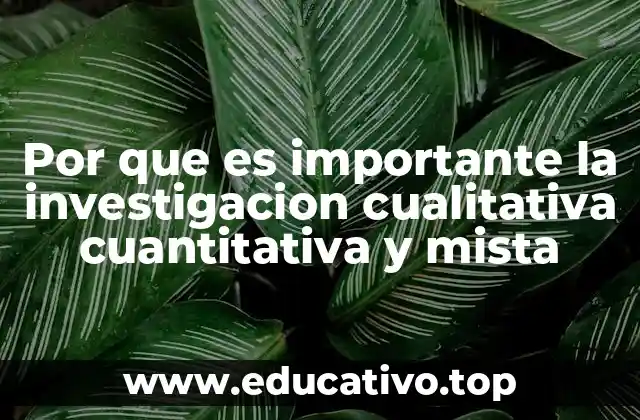 Por que es importante la investigacion cualitativa cuantitativa y mista