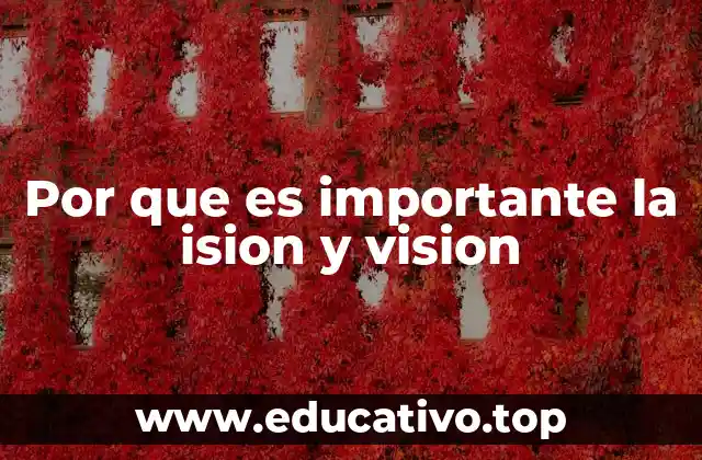 Por que es importante la ision y vision