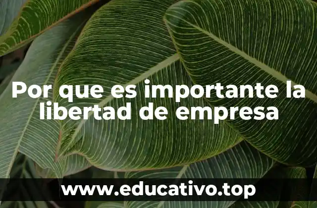Por que es importante la libertad de empresa