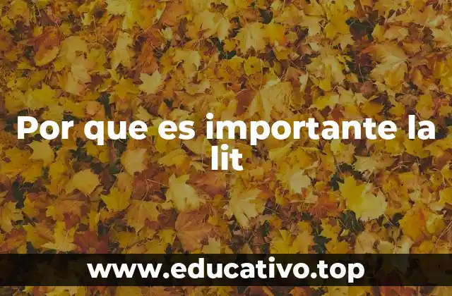 Por que es importante la lit
