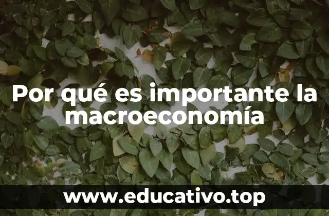 Por qué es importante la macroeconomía