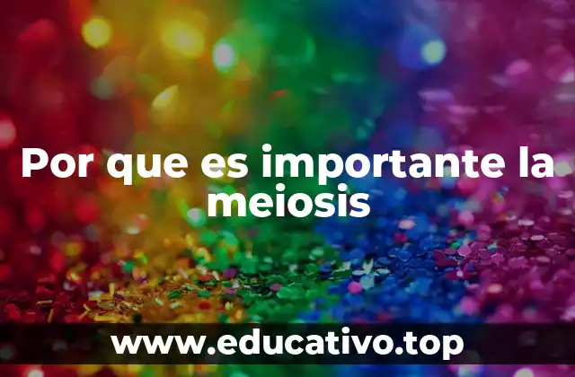 Por que es importante la meiosis
