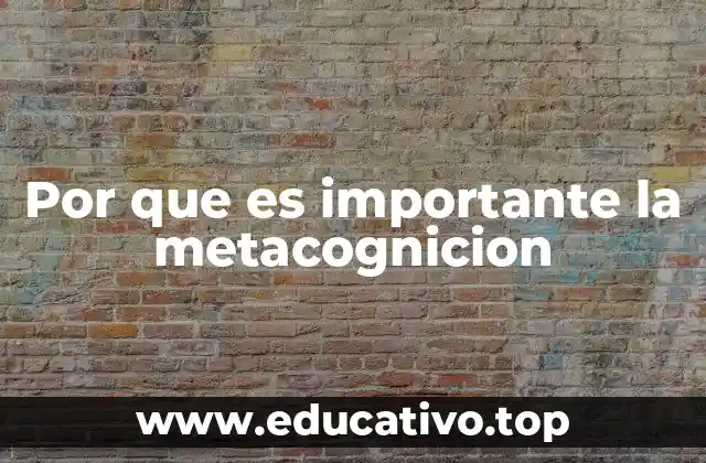 Por que es importante la metacognicion